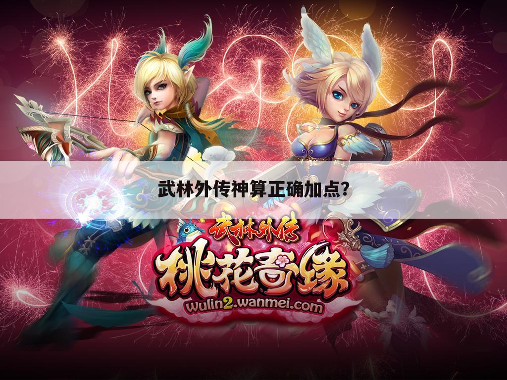 武林外传神算正确加点?