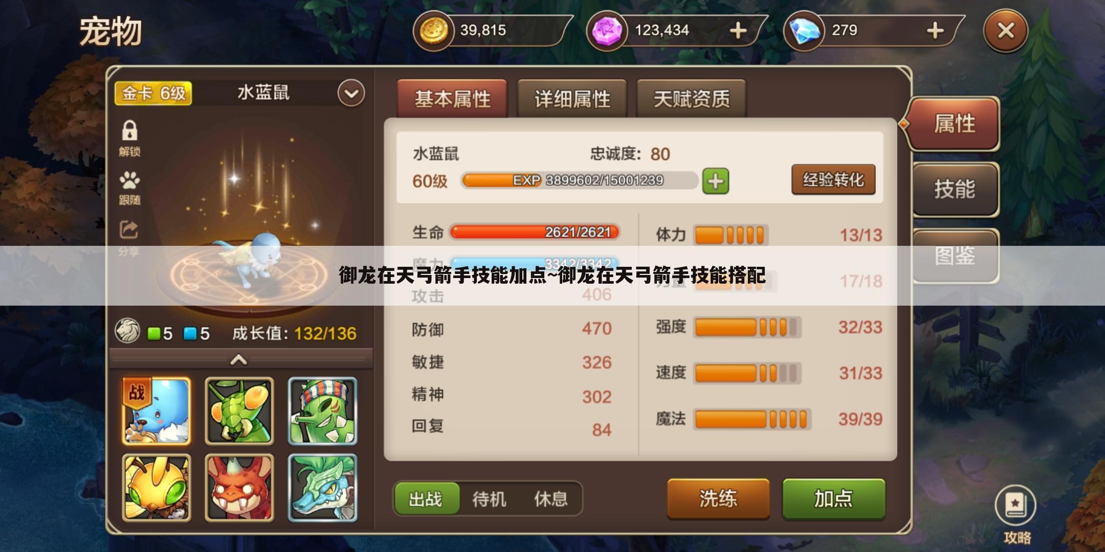 御龙在天弓箭手技能加点~御龙在天弓箭手技能搭配