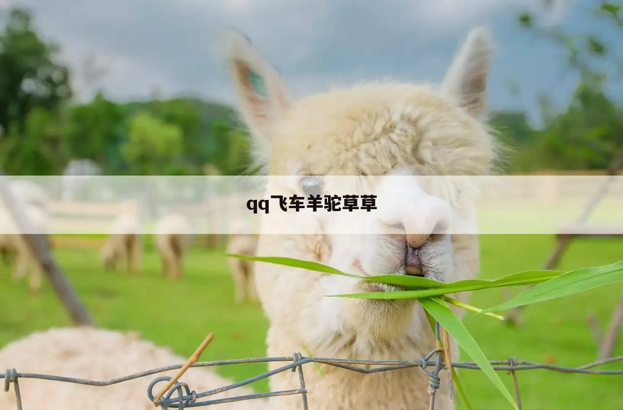 qq飞车羊驼草草