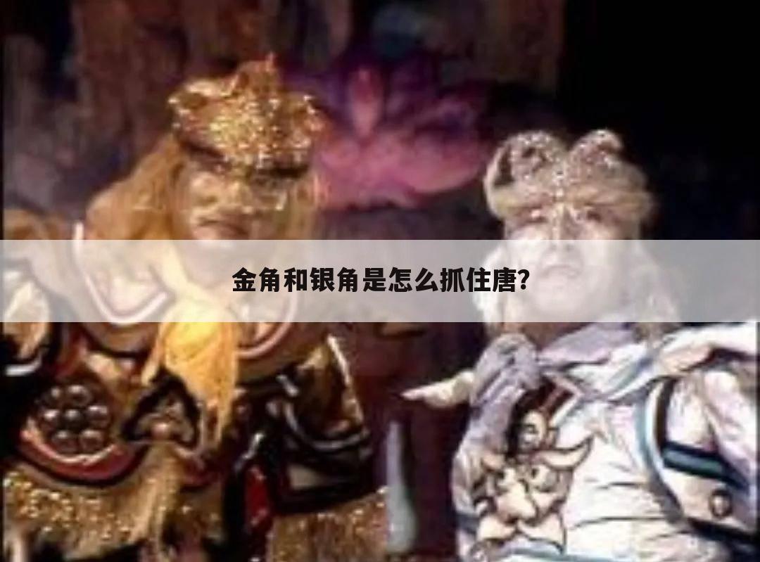 金角和银角是怎么抓住唐?