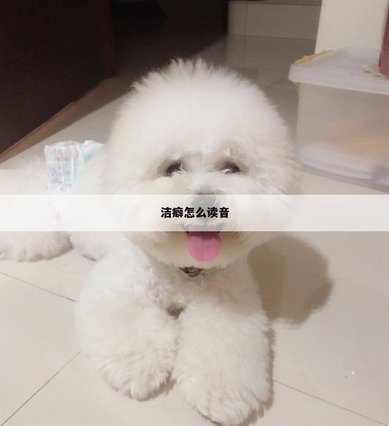 洁癖怎么读音