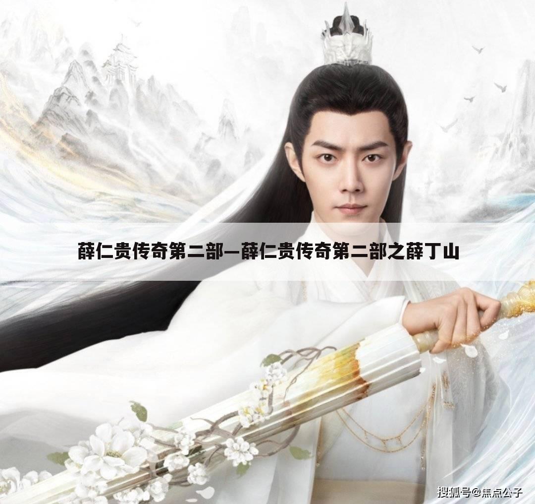 薛仁贵传奇第二部—薛仁贵传奇第二部之薛丁山