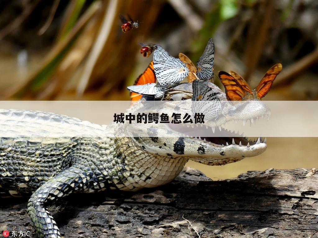城中的鳄鱼怎么做