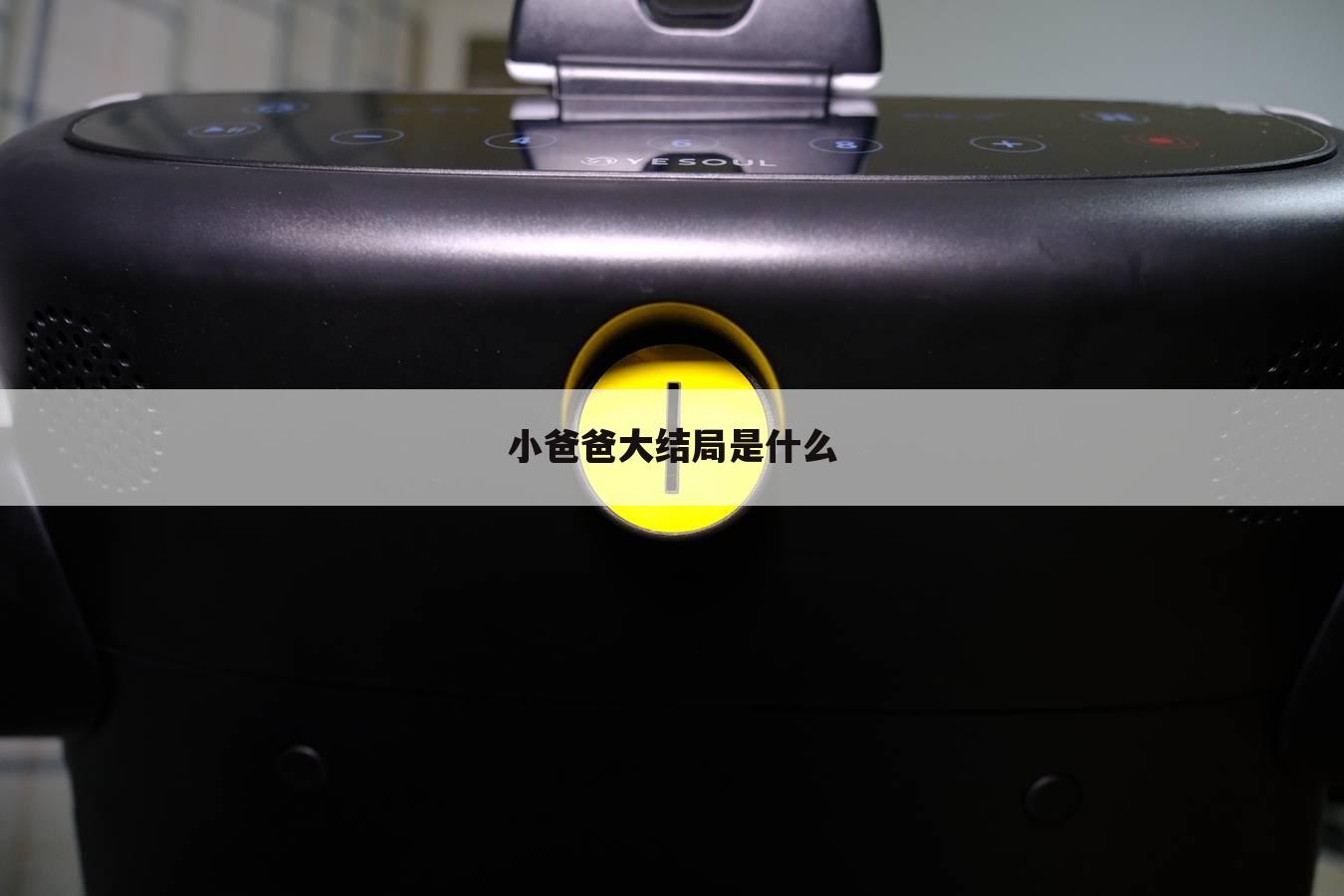 小爸爸大结局是什么