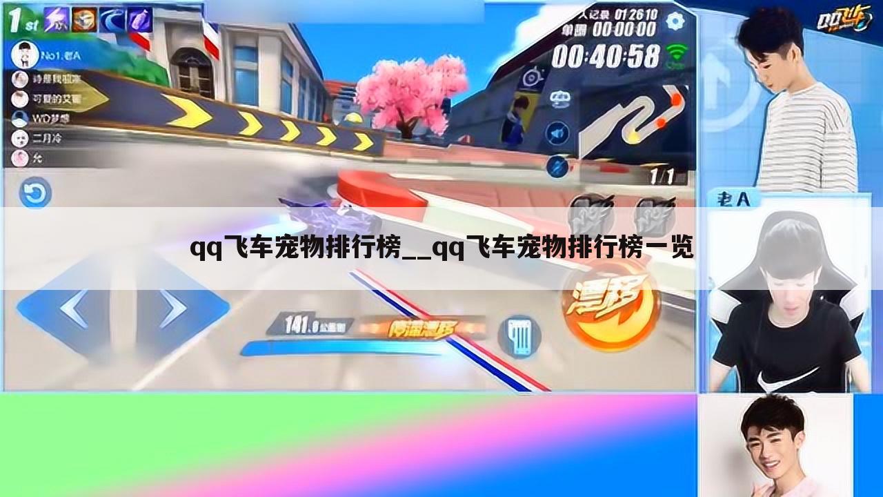 qq飞车宠物排行榜__qq飞车宠物排行榜一览