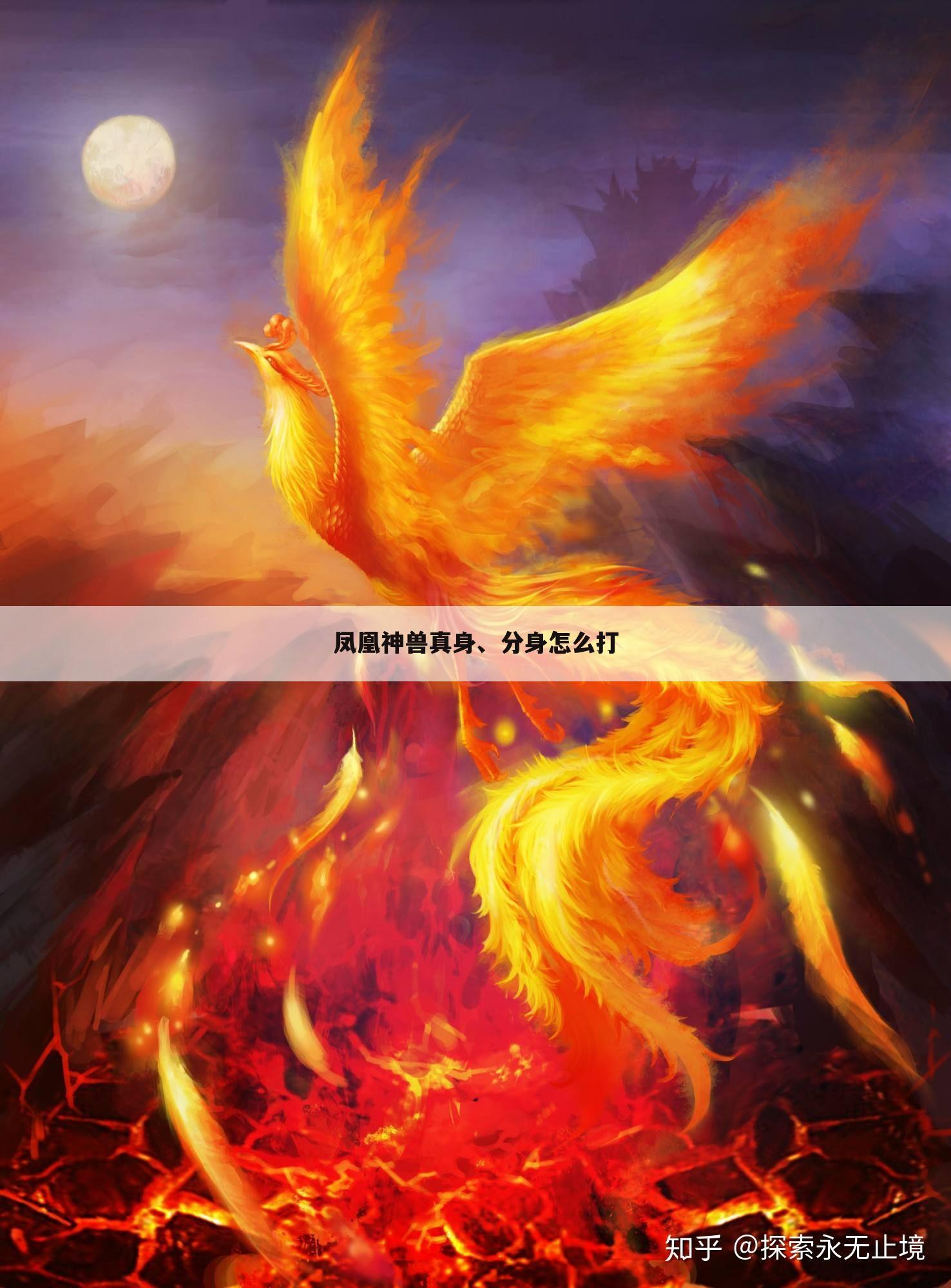 凤凰神兽真身、分身怎么打