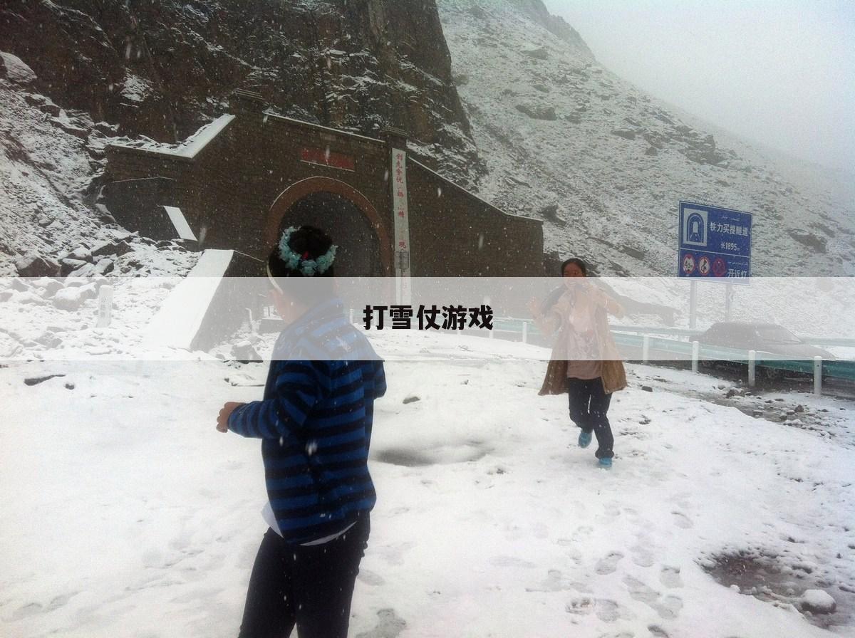 打雪仗游戏