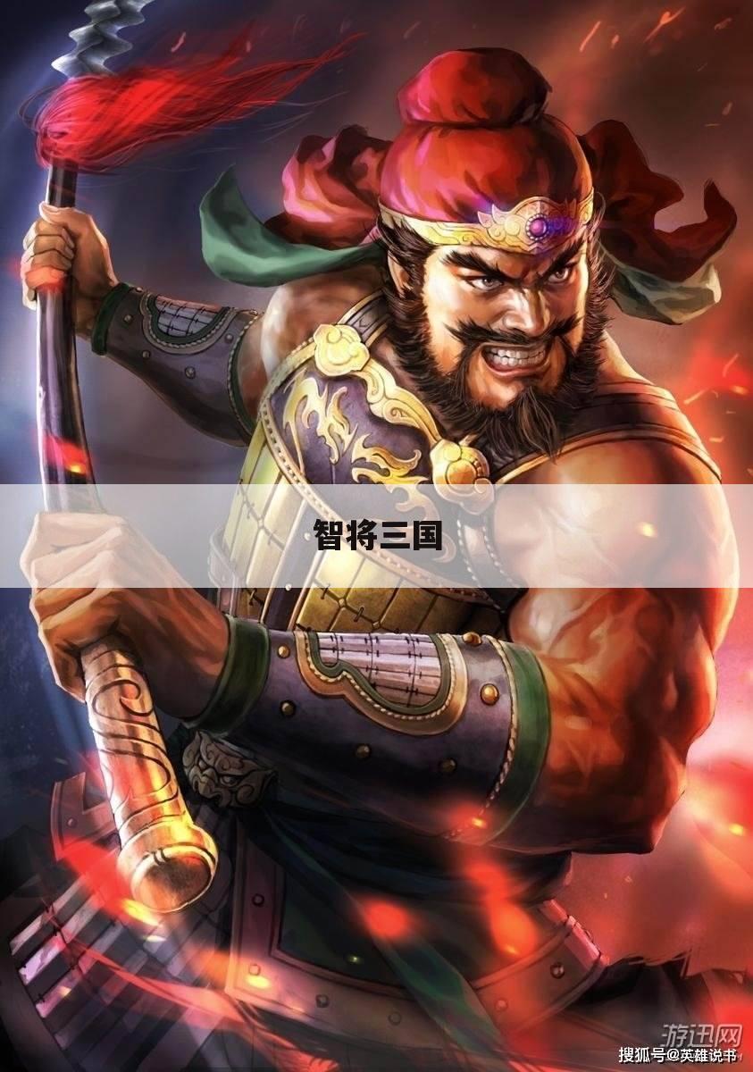 智将三国