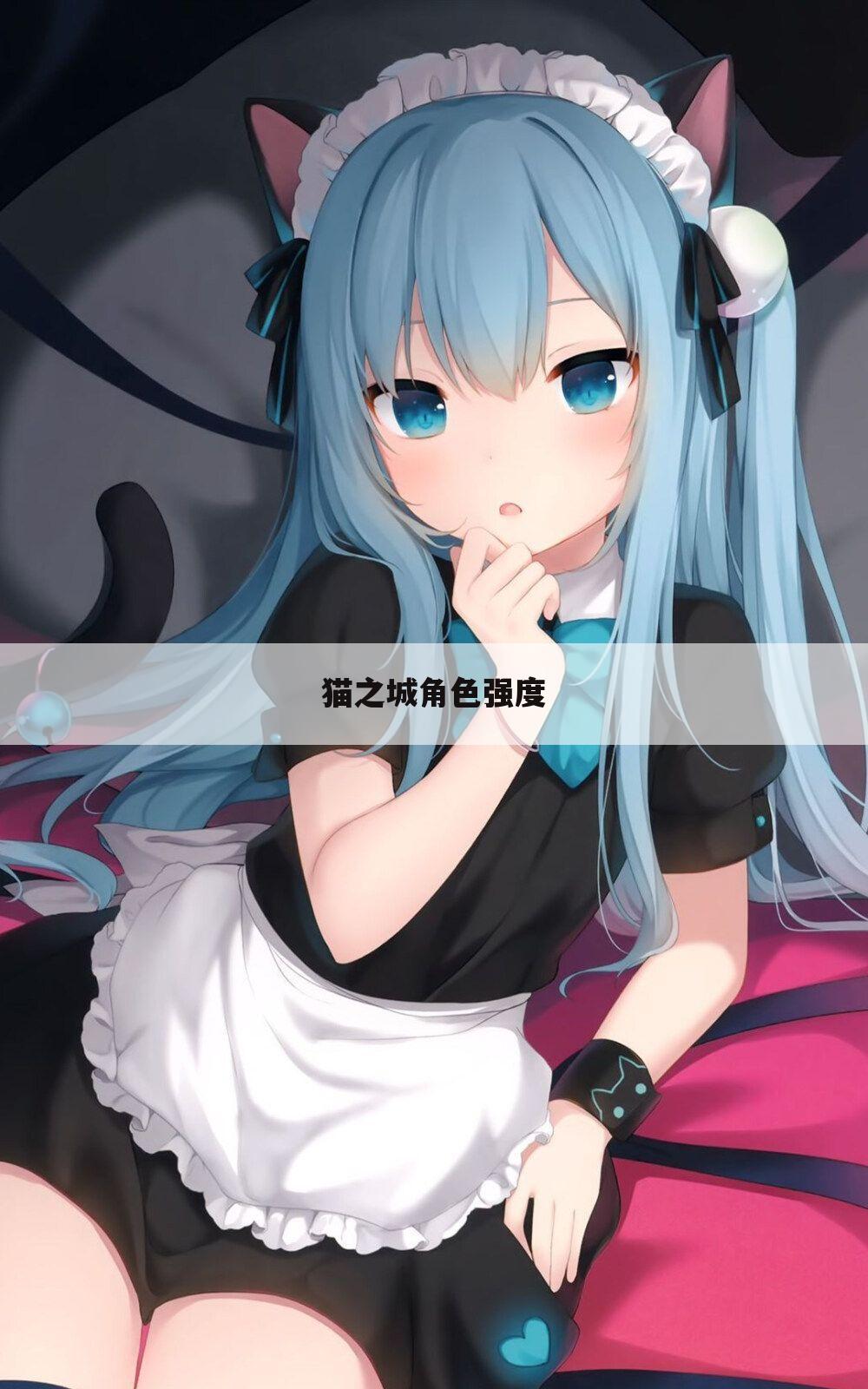 猫之城角色强度
