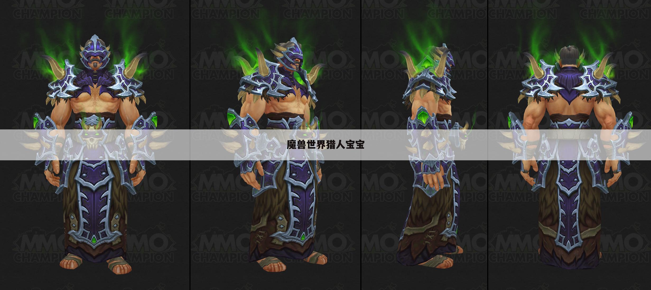 魔兽世界猎人宝宝