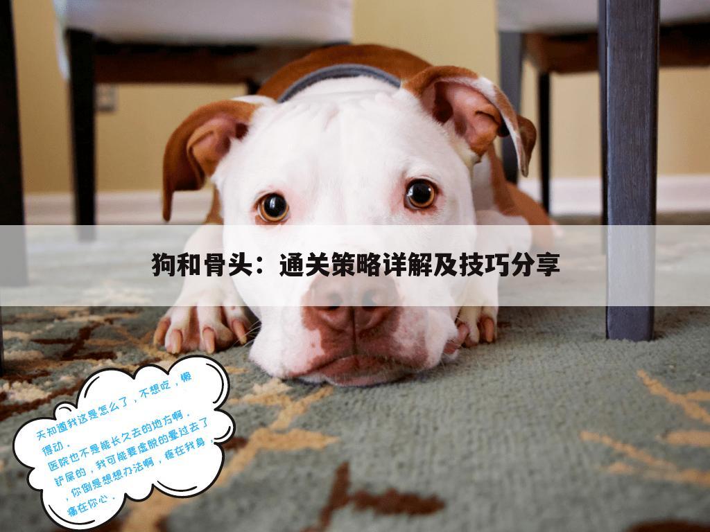狗和骨头：通关策略详解及技巧分享