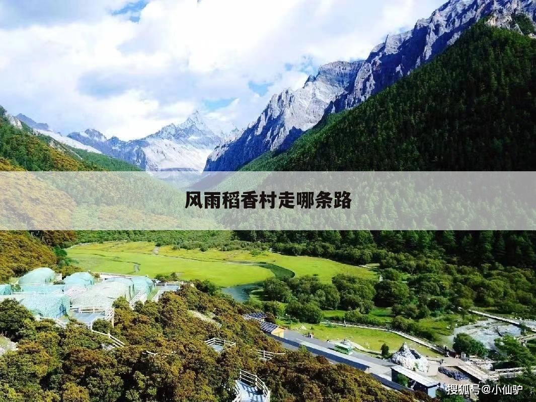 风雨稻香村走哪条路