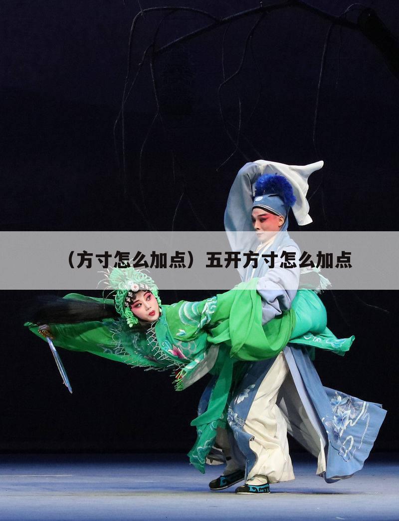 （方寸怎么加点）五开方寸怎么加点