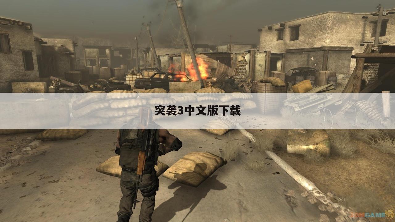 突袭3中文版下载