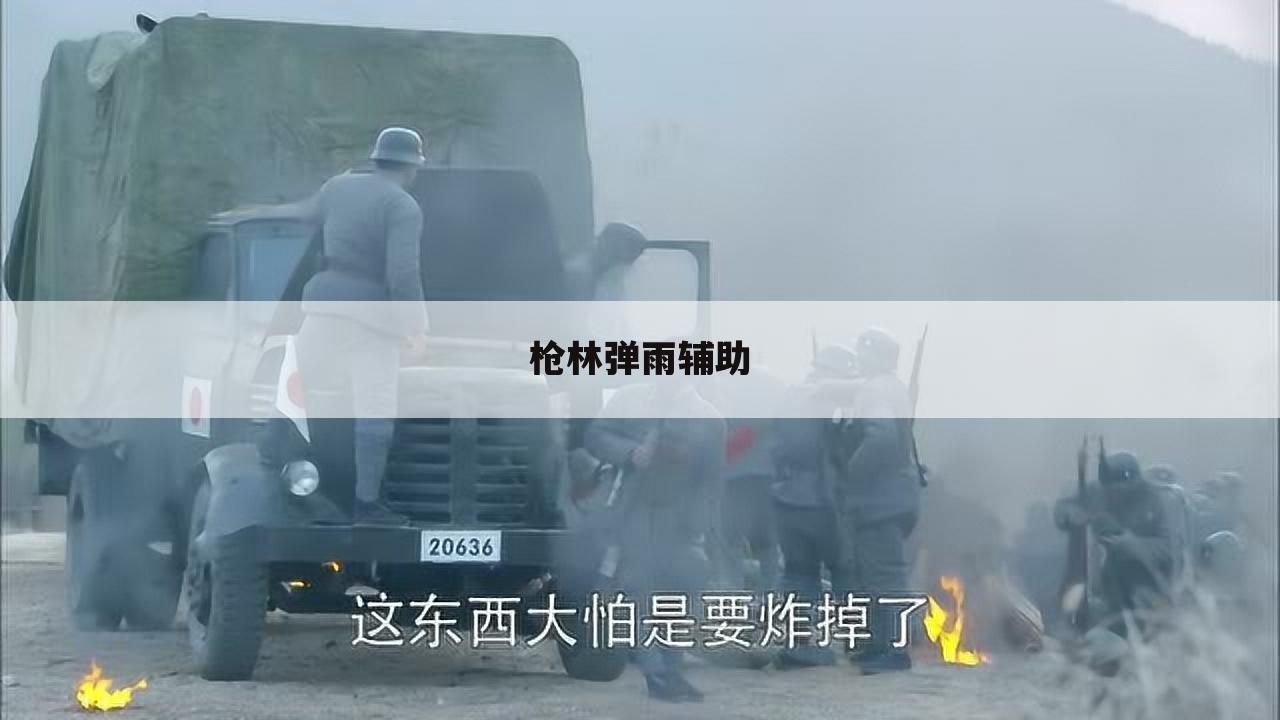 枪林弹雨辅助