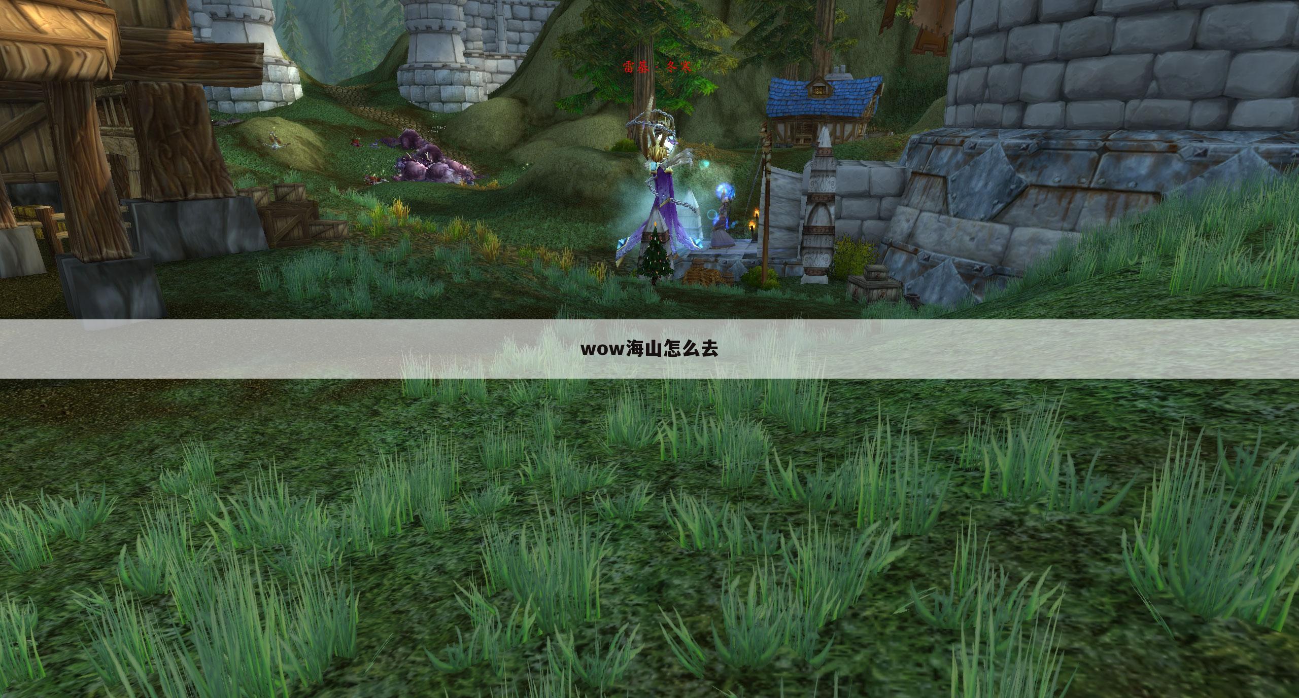 wow海山怎么去
