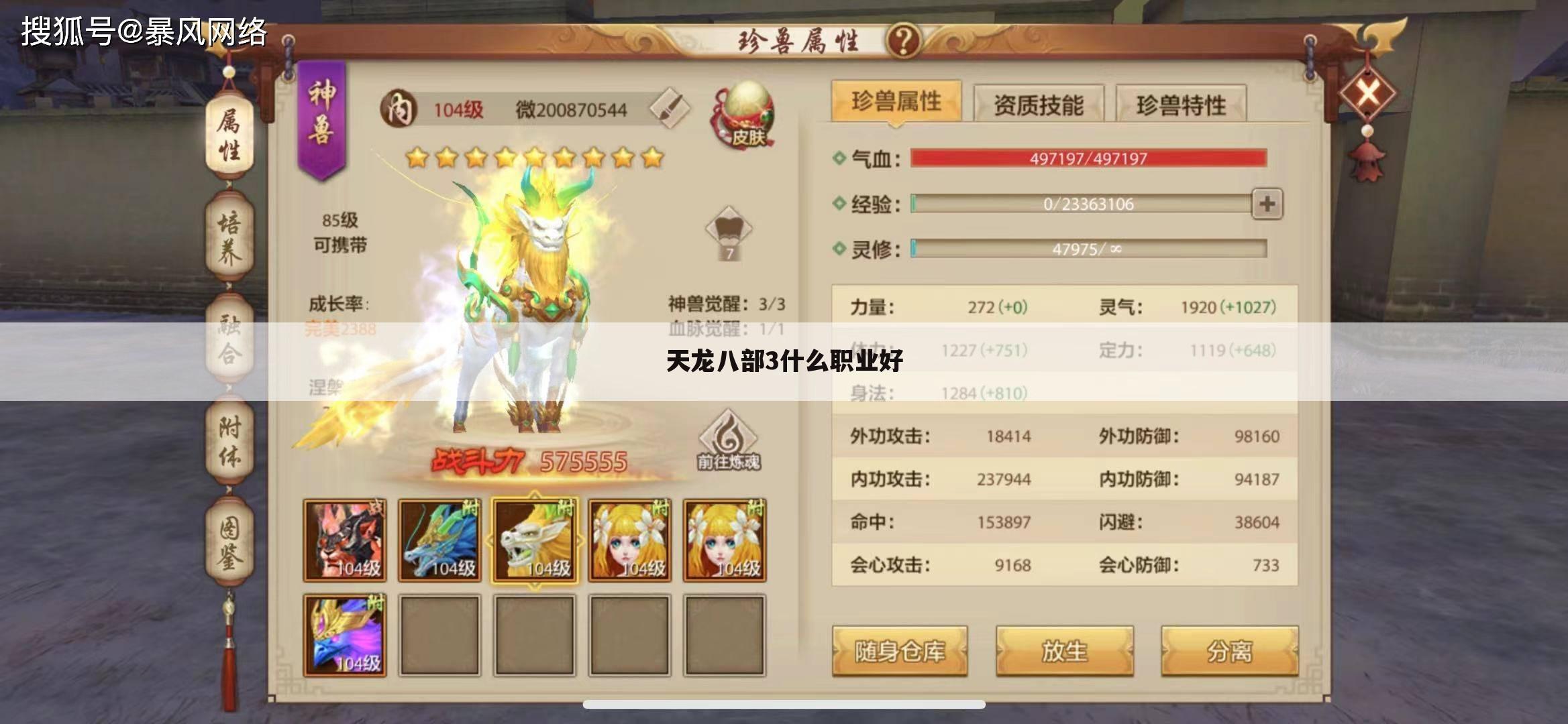 天龙八部3什么职业好