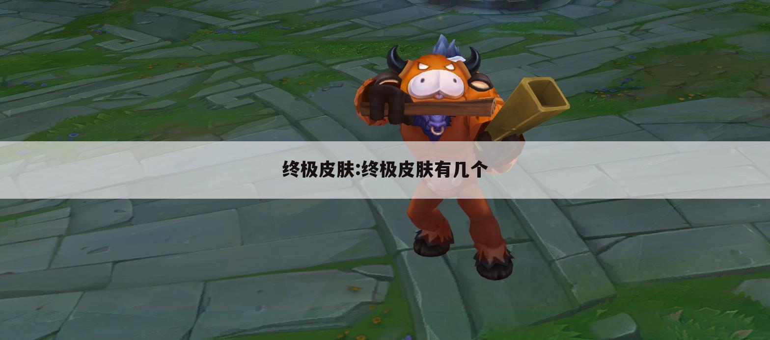 终极皮肤:终极皮肤有几个