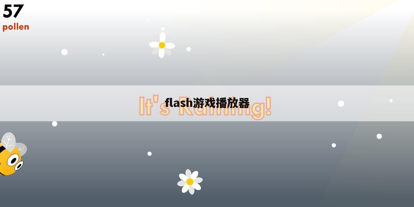 flash游戏播放器