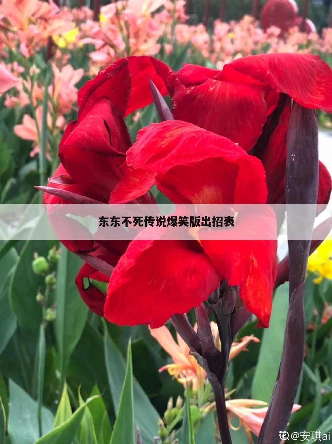 东东不死传说爆笑版出招表