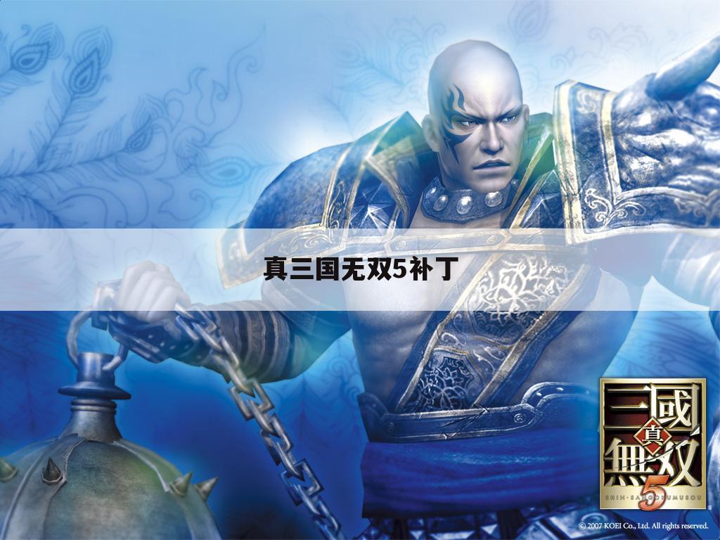 真三国无双5补丁