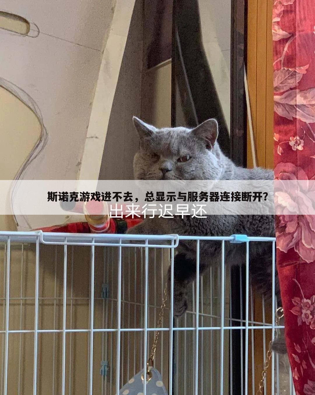 斯诺克游戏进不去,总显示与服务器连接断开?