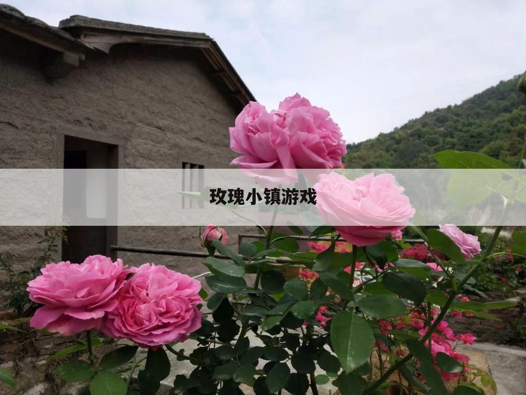 玫瑰小镇游戏