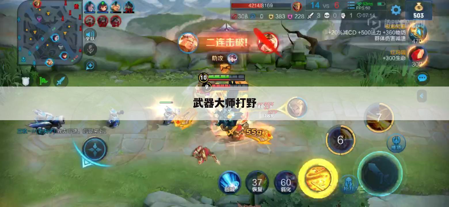 武器大师打野
