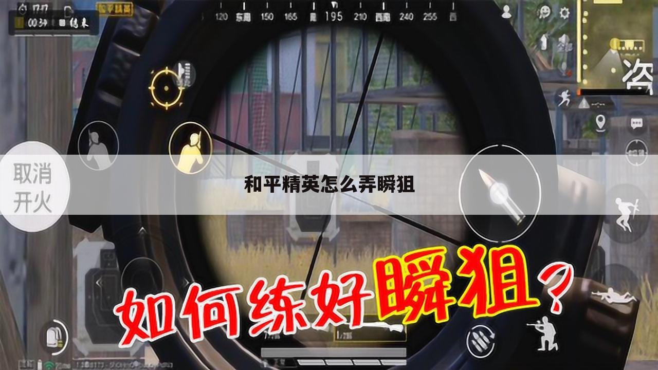 和平精英怎么弄瞬狙
