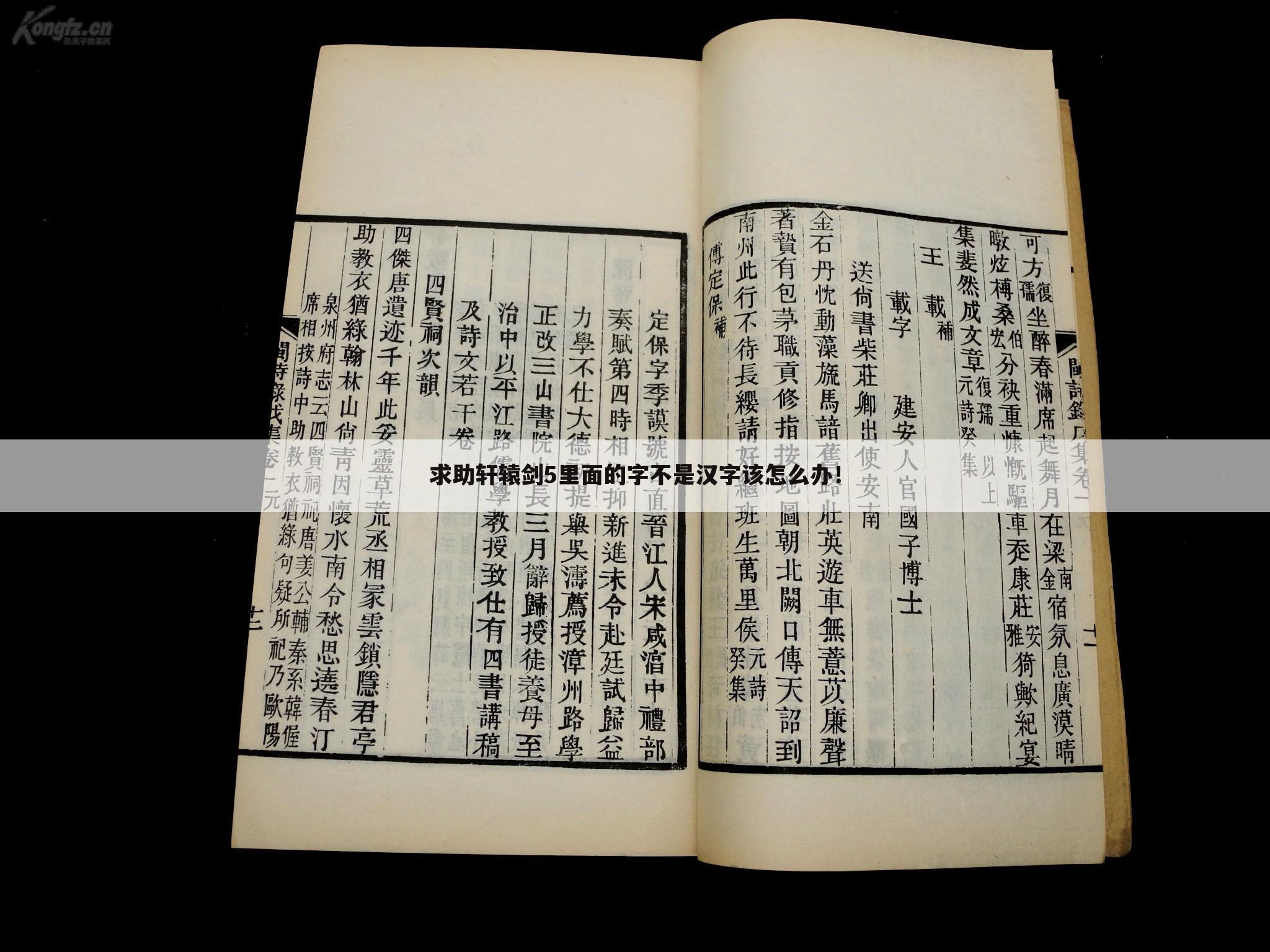 求助轩辕剑5里面的字不是汉字该怎么办!
