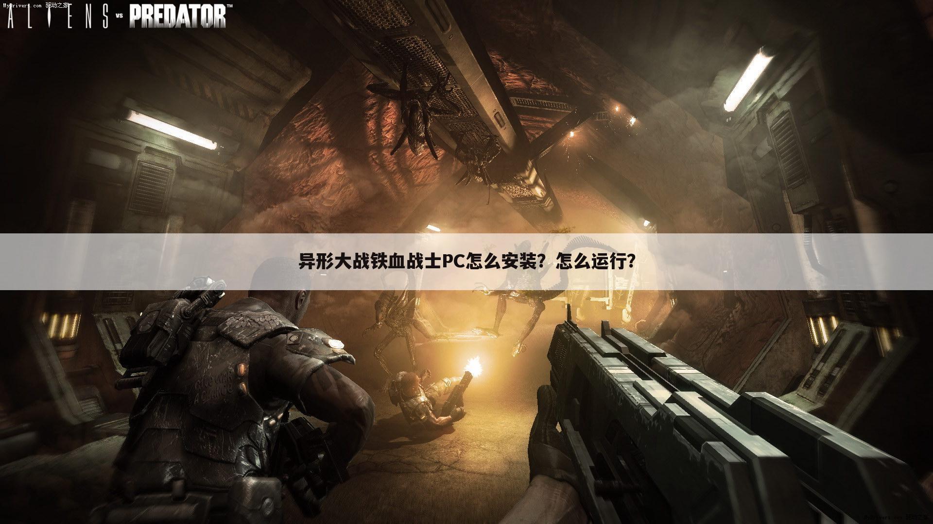 异形大战铁血战士PC怎么安装?怎么运行?