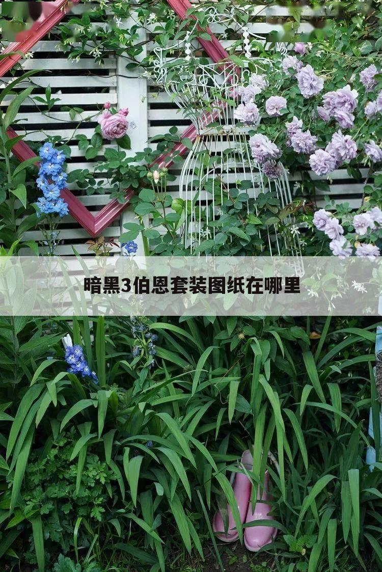 暗黑3伯恩套装图纸在哪里