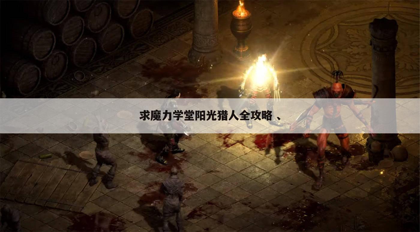 求魔力学堂阳光猎人全攻略 、