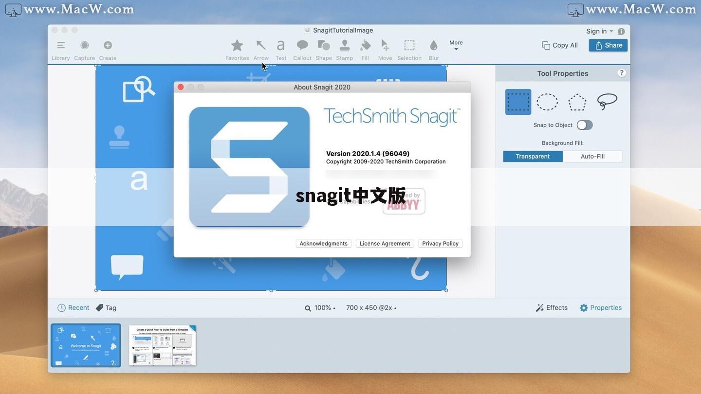 snagit中文版