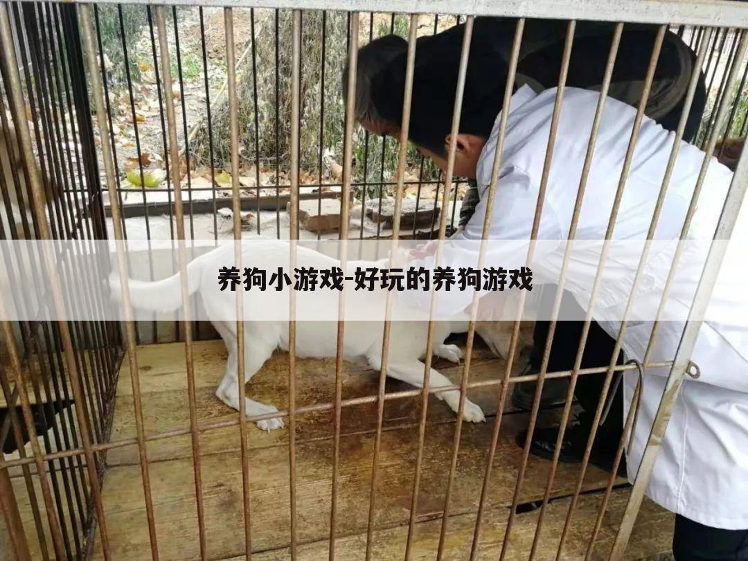 养狗小游戏-好玩的养狗游戏