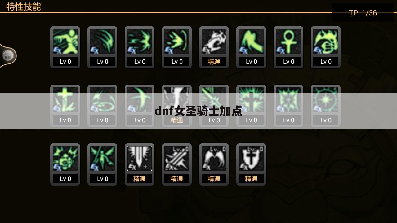 dnf女圣骑士加点