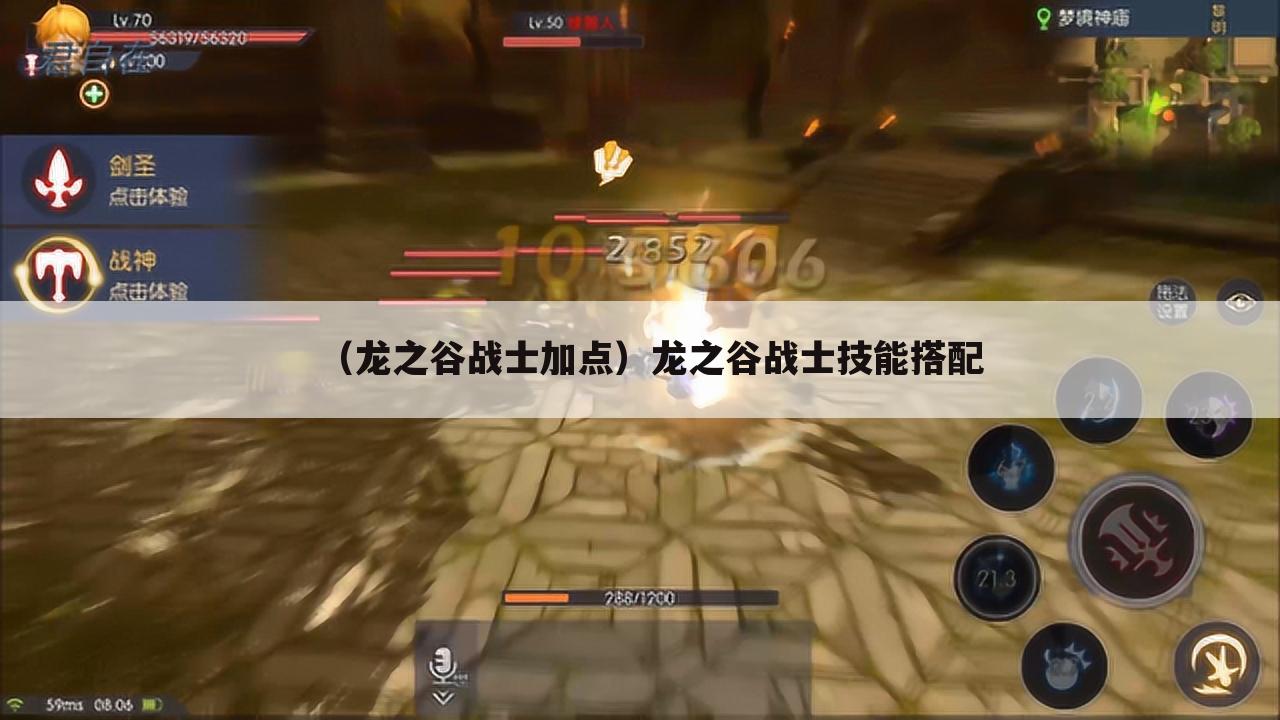 （龙之谷战士加点）龙之谷战士技能搭配