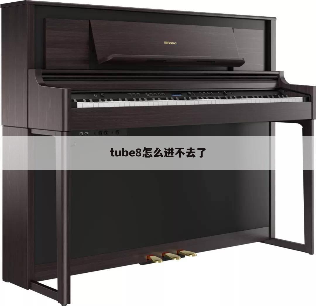 tube8怎么进不去了