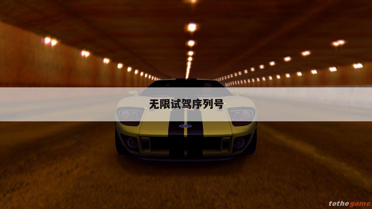 无限试驾序列号