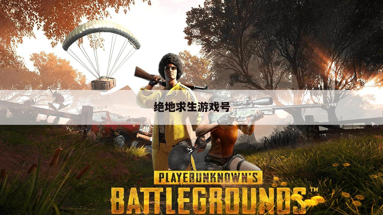 绝地求生游戏号