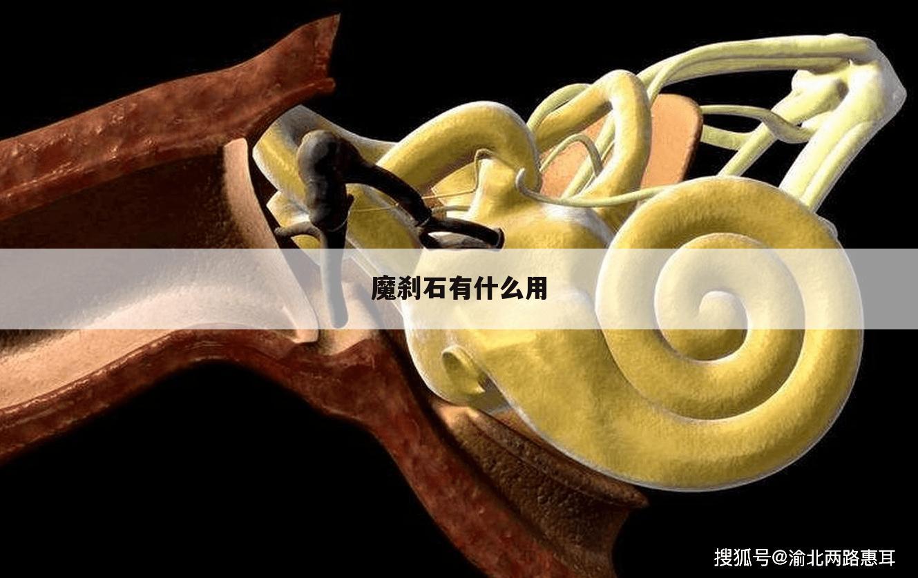 魔刹石有什么用
