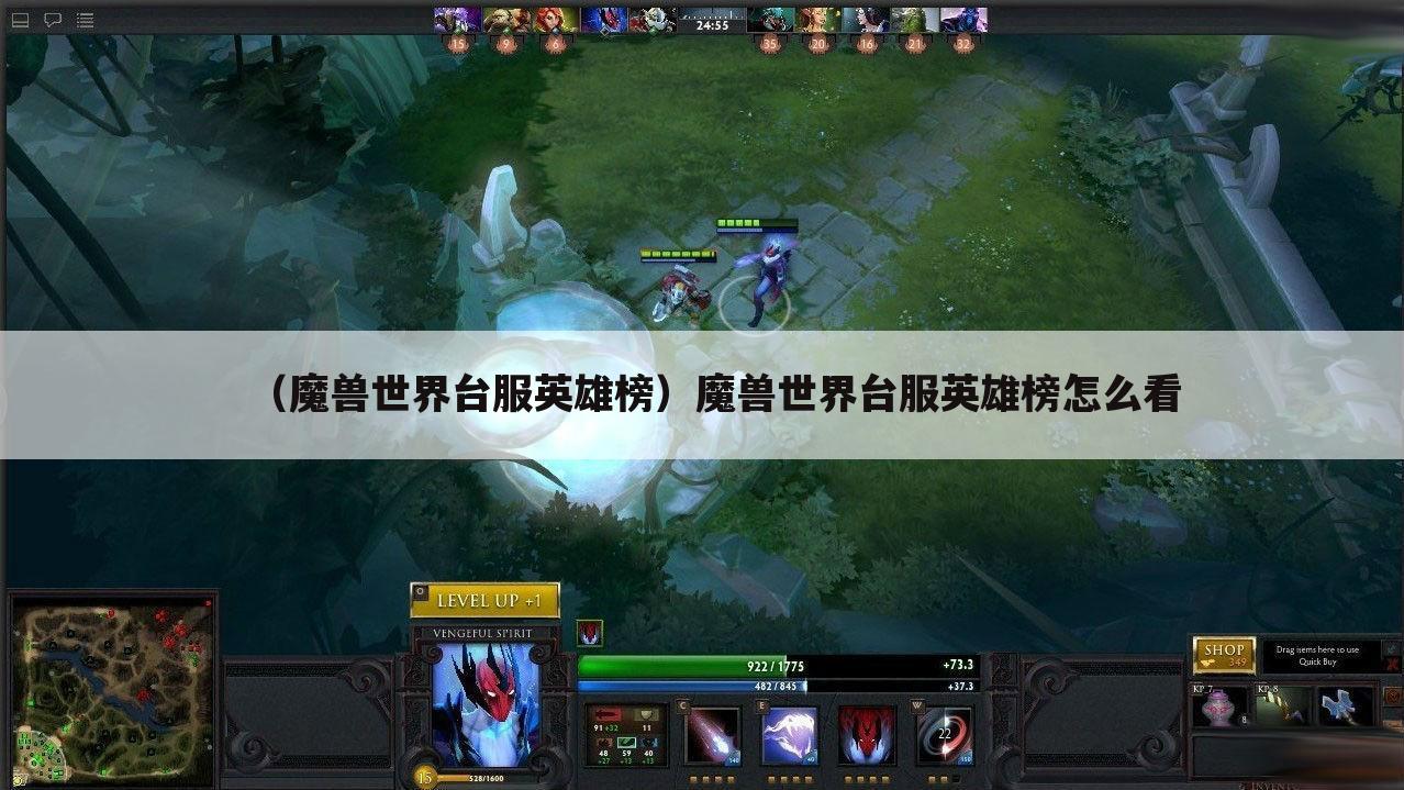 （魔兽世界台服英雄榜）魔兽世界台服英雄榜怎么看