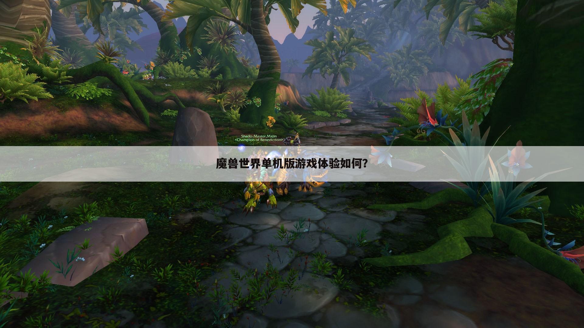 魔兽世界单机版游戏体验如何？