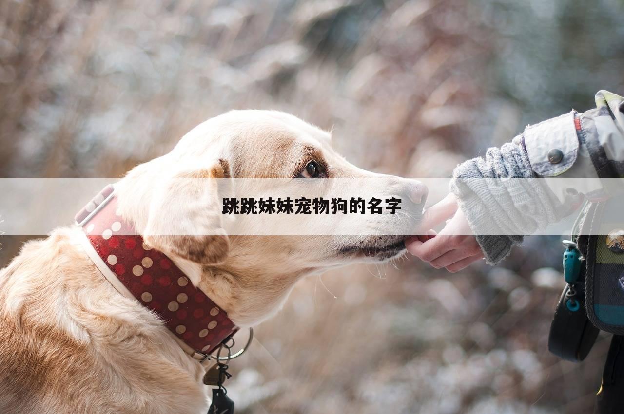 跳跳妹妹宠物狗的名字