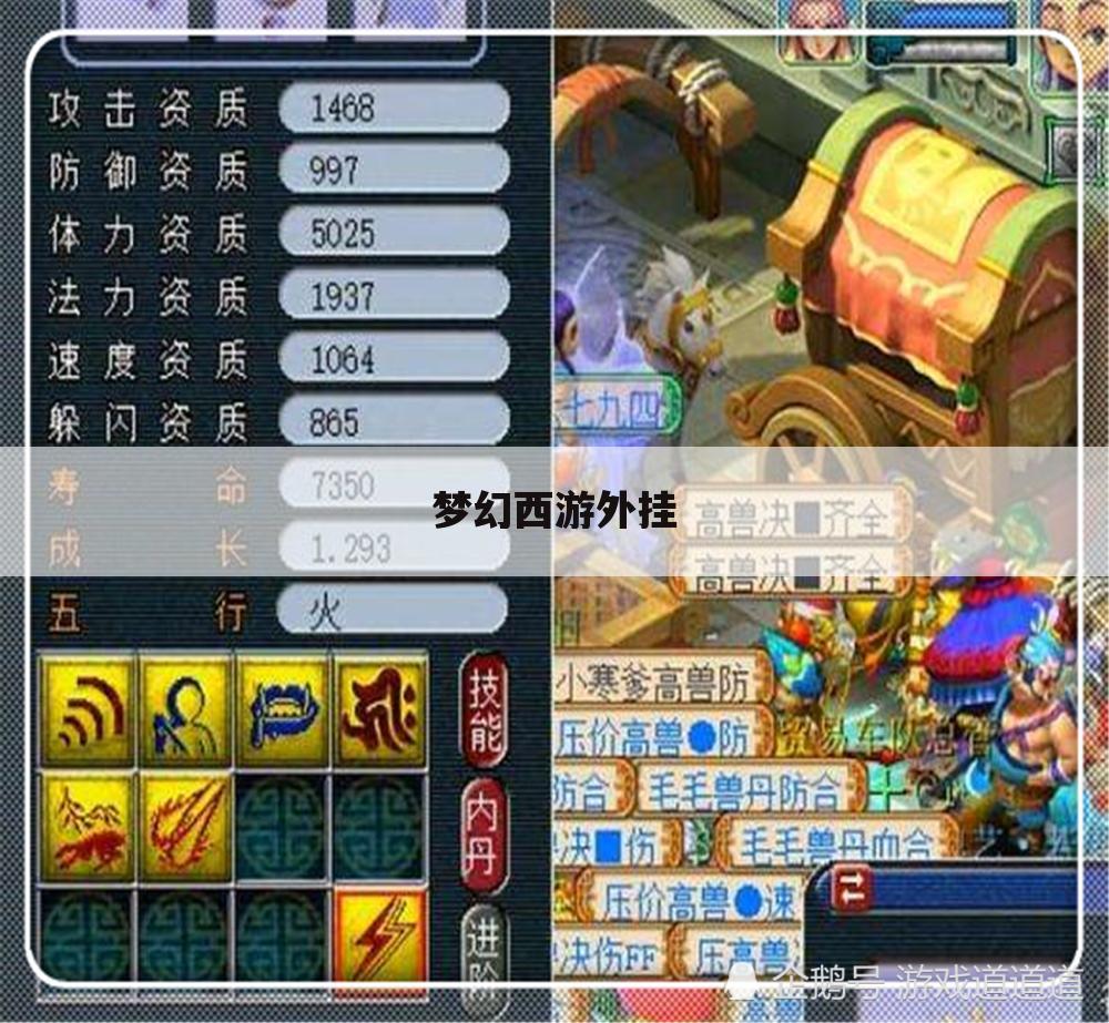 梦幻西游外挂