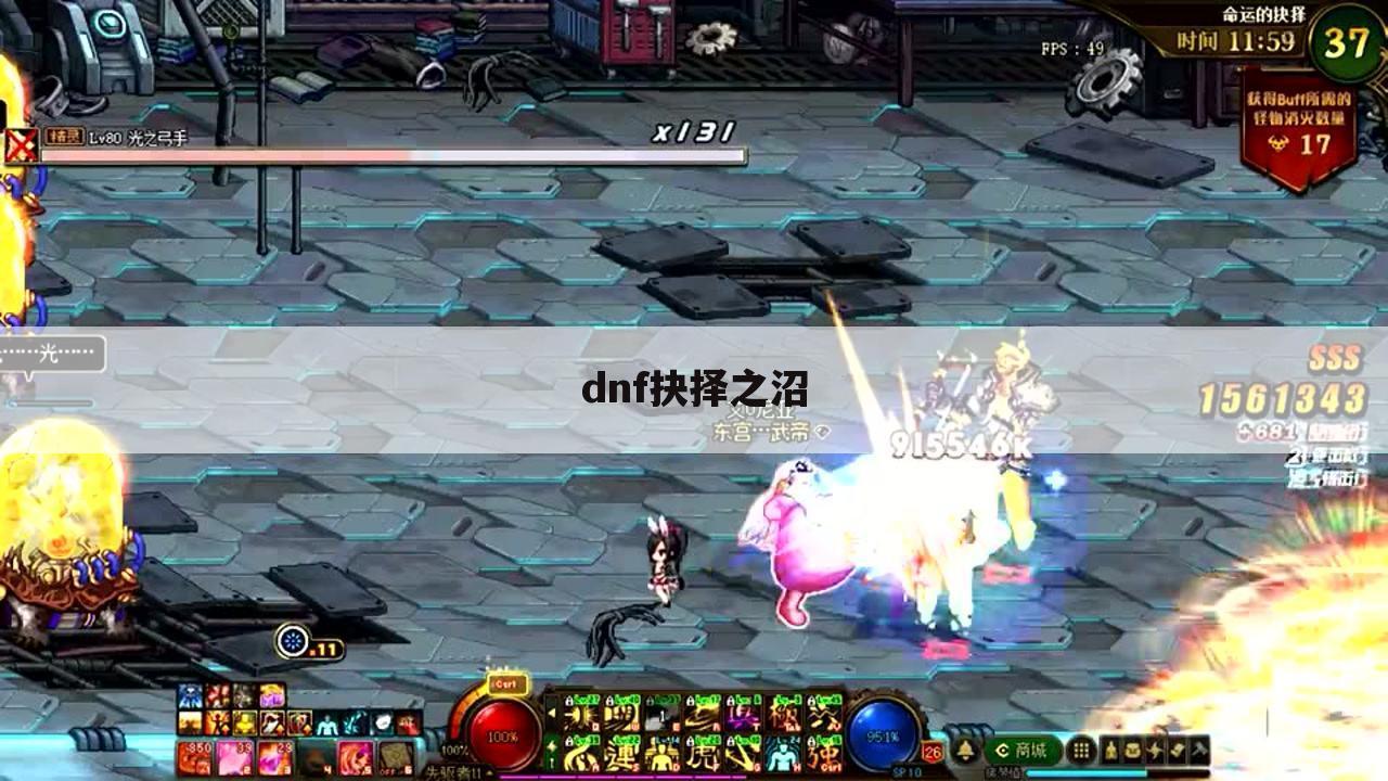 dnf抉择之沼