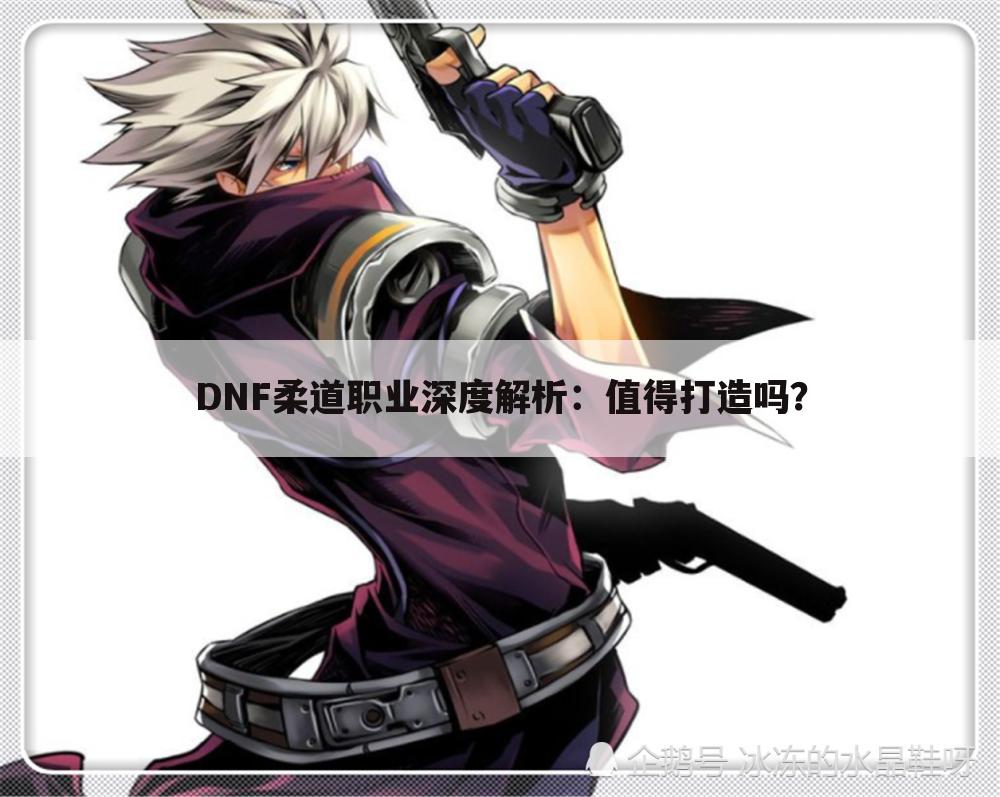 DNF柔道职业深度解析：值得打造吗？