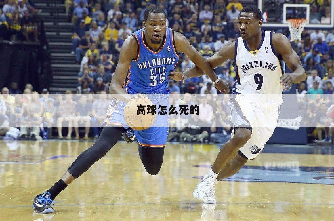 高球怎么死的