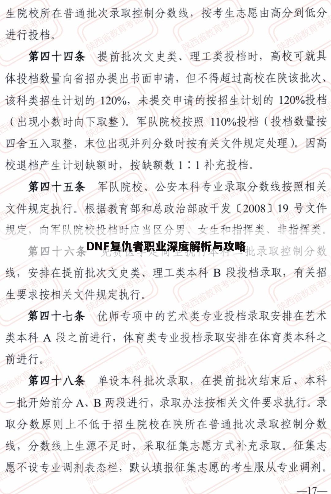 DNF复仇者职业深度解析与攻略