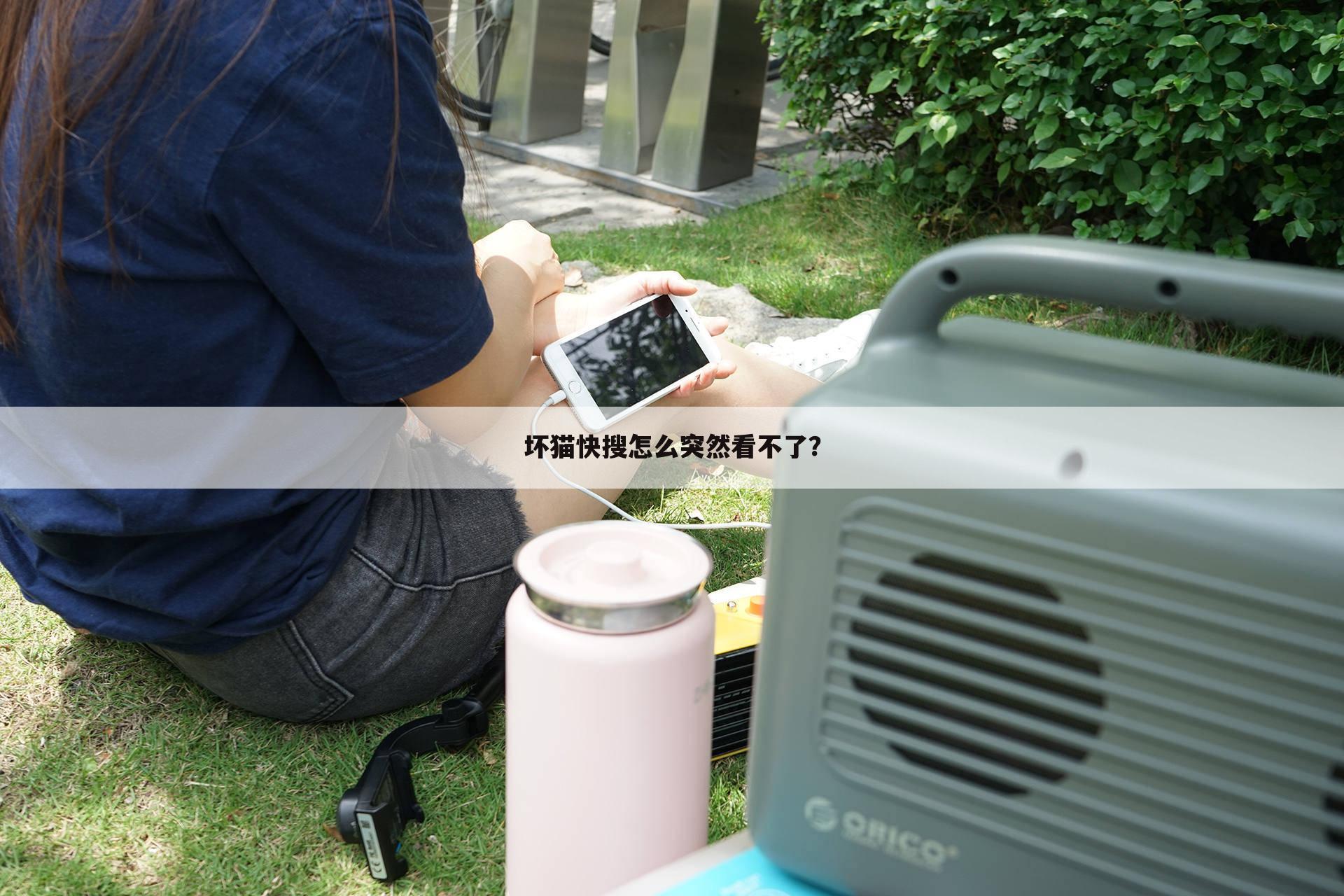 坏猫快搜怎么突然看不了?
